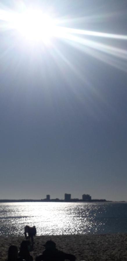 Sadinahome Setúbal Dış mekan fotoğraf