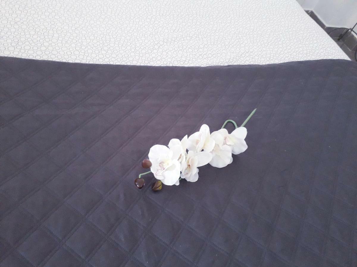 Sadinahome Setúbal Dış mekan fotoğraf